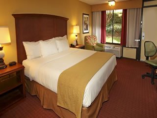 Imagem ilustrativa do hotel ROSEN INN AT POINTE ORLANDO 