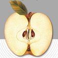 Logo XXXV Curso Teórico - Prático de Colposcopia e Citopatologia do Trato Genital Inferior