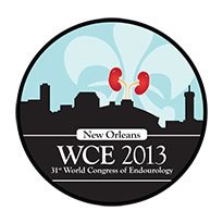 Logo 31 st World Congress of Endourology & SWL